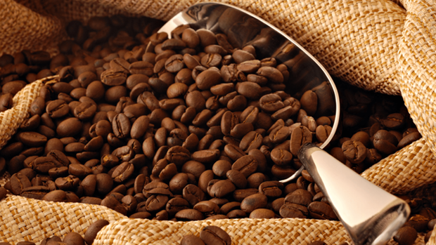 Les exportations nationales de cafe atteignent plus de 2 milliards de dollars hinh anh 1