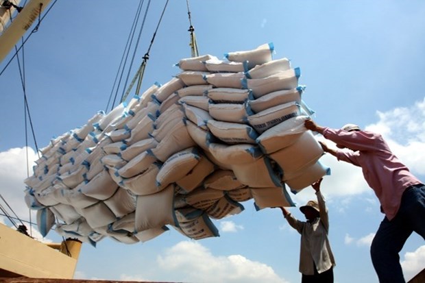 Les exportations du riz evaluees a 5,2 millions de tonnes en dix mois hinh anh 1