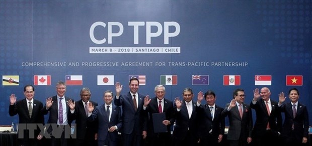 L’Accord de partenariat transpacifique global et progressiste en discussion a Tokyo hinh anh 1