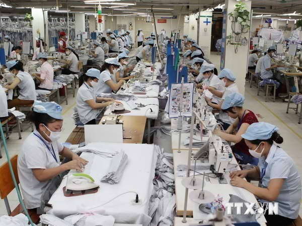 Textile - habillement : Vinatex vise une croissance des exportations de 8% en 2019 hinh anh 1