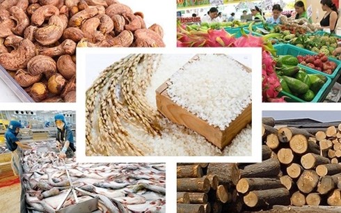 La liste de dix produits agricoles cles du Vietnam publiee hinh anh 1