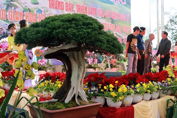 Cloture des evenements organises dans le cadre du Festival des fleurs de Da Lat 2019 hinh anh 2
