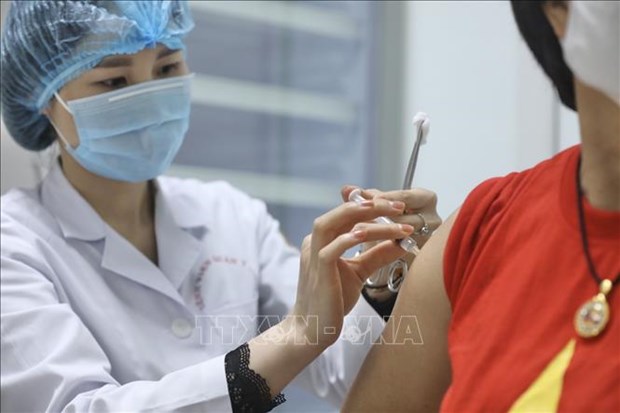 Le Vietnam compte cinq vaccins candidats contre le coronavirus hinh anh 2