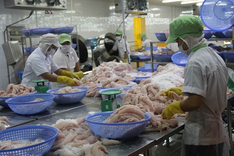 Les exportations de poissons Tra ciblent 2,4 milliards de dollars hinh anh 1