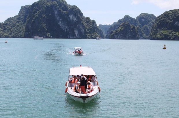 Fete des rois Hung : afflux de touristes en baie d'Ha Long hinh anh 1