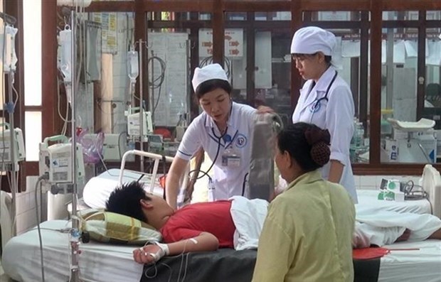 Le Vietnam elargit le systeme d’alerte de la dengue avec des pays d'Asie hinh anh 1