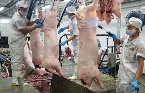 Le PM demande de renforcer des mesures a stabiliser le prix du porc hinh anh 1