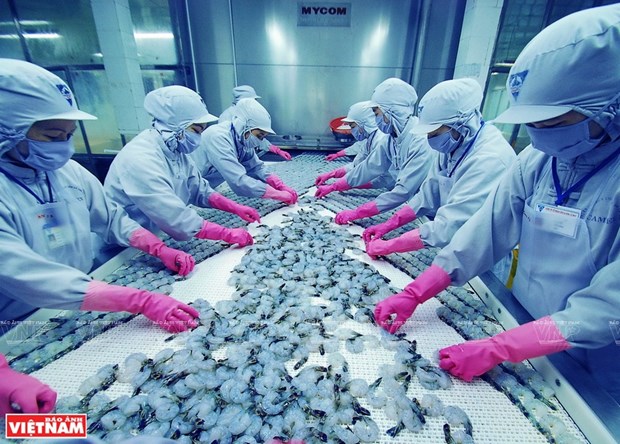Le Vietnam ambitionne d'exportater 4 milliards de dollars des crevettes cette annee hinh anh 2