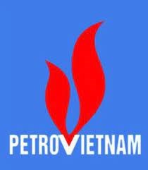 PetroVietnam dans le groupe des societes gazopetrolieres avec le meilleur ROE au monde hinh anh 1