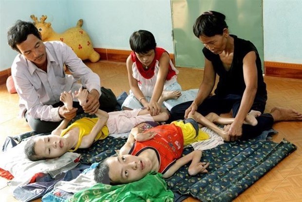 Une association francaise appelle a soutenir les victimes vietnamiennes de l'AO/dioxine hinh anh 2