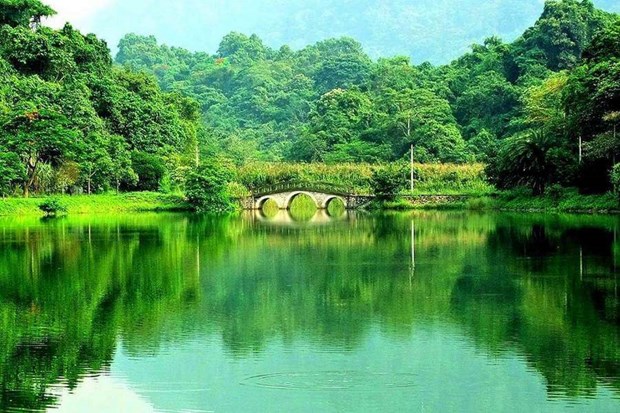 Le Vietnam elu premiere destination touristique d'Asie hinh anh 3