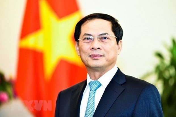 Les contributions de la diplomatie vietnamienne a la defense et au developpement national hinh anh 1