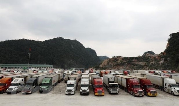 Ministeres et localites exhortes a gerer la congestion des marchandises hinh anh 1