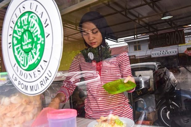Produits halal: l'Indonesie exporte pour 3,6 milliards de dollars en 2021 hinh anh 1
