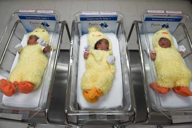 L'economie thailandaise menacee en raison du faible taux de natalite hinh anh 1