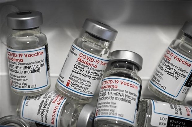 La FDA des Philippines approuve l'utilisation du vaccin anti-COVID-19 de Moderna pour les enfants hinh anh 1
