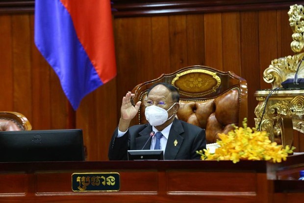 Le Parlement cambodgien adopte le projet de Constitution hinh anh 1