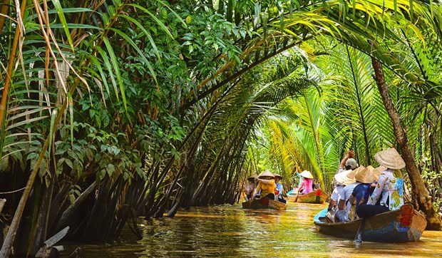 Le delta du Mekong cherche a developper l'agrotourisme hinh anh 3