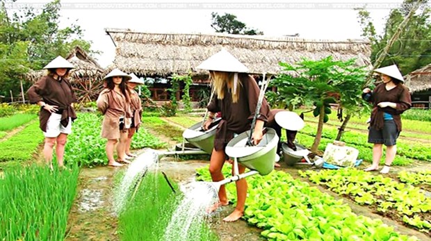 Le delta du Mekong cherche a developper l'agrotourisme hinh anh 1