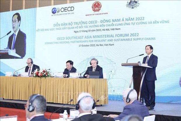 Ouverture du Forum ministeriel 2022 de l'OCDE sur l'Asie du Sud-Est a Hanoi hinh anh 2