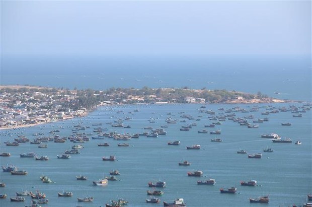 Binh Thuan accueillera l’Annee nationale du tourisme 2023 hinh anh 2