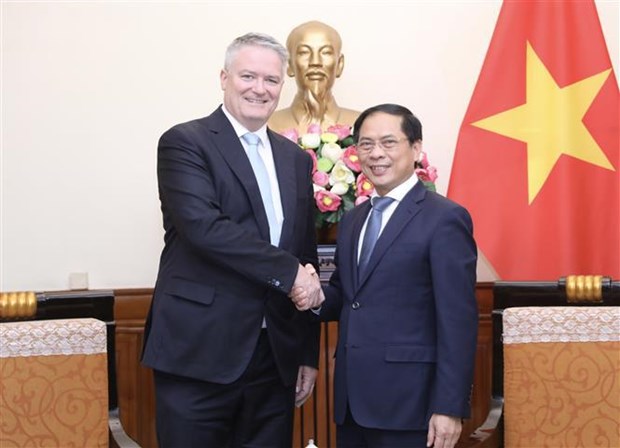 Le ministre des AE Bui Thanh Son recoit le secretaire general de l'OCDE hinh anh 1
