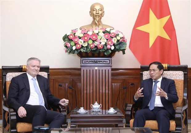 Le ministre des AE Bui Thanh Son recoit le secretaire general de l'OCDE hinh anh 2