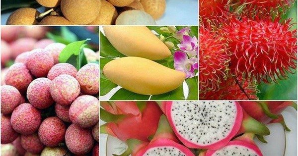 Le Vietnam cible plus de 5 milliards de dollars d’exportations de fruits en 2025 hinh anh 2