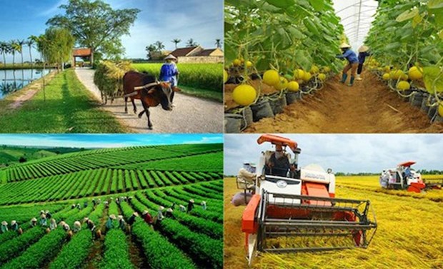 Croissance et developpement inclusifs, double mission du secteur agricole en 2023 hinh anh 3