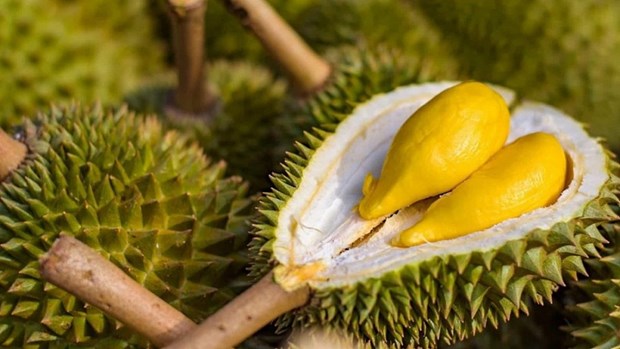 2023 promet d'etre une annee d'acceleration des exportations nationales de durian hinh anh 1