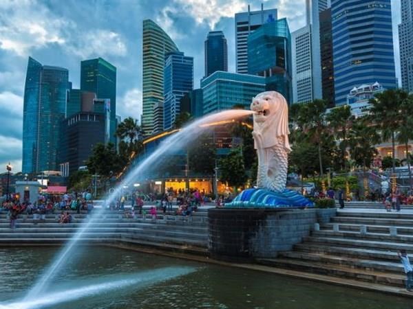 Singapour mobilise les intellectuels pour faire face aux defis du developpement economique hinh anh 1