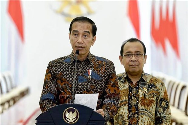 Le president Widodo visite l'archipel de Natuna, soulignant la souverainete de l'Indonesie hinh anh 1