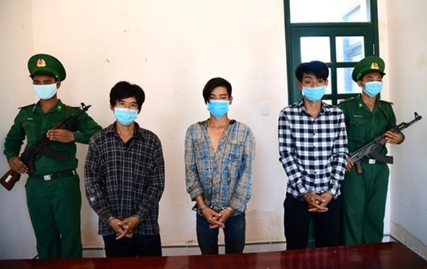 Trois personnes arretees pour avoir amene illegalement des etrangers au Vietnam hinh anh 1