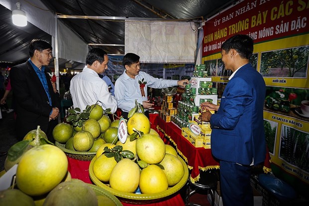 Ouverture de la Semaine des oranges de Cao Phong 2020 hinh anh 1