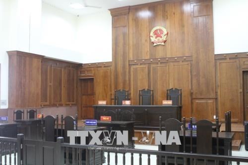 Examen des 5 ans de mise en œuvre de la Loi sur l'organisation des tribunaux populaires hinh anh 1