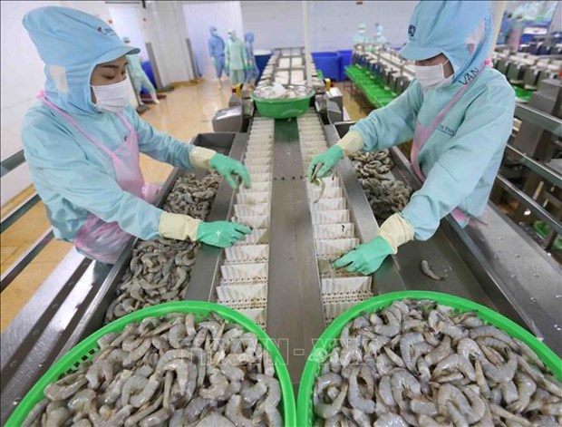 Les Etats-Unis levent l’ordonnance de droit antidumping sur les crevettes du groupe Minh Phu hinh anh 1