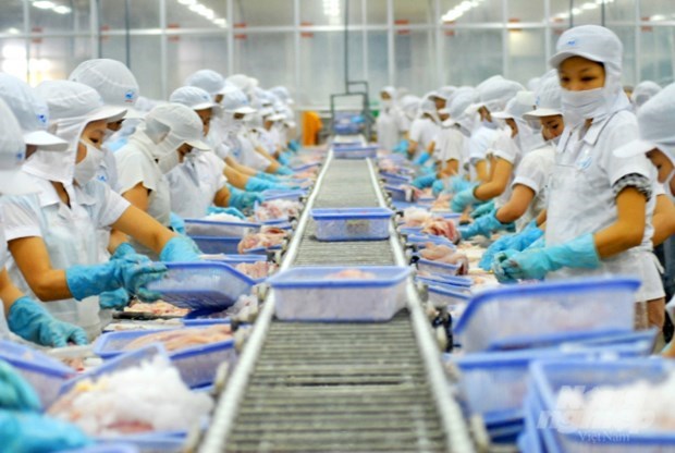 Pres de 700 entreprises vietnamiennes eligibles a l'exportation des produits aquatiques vers Taiwan hinh anh 1