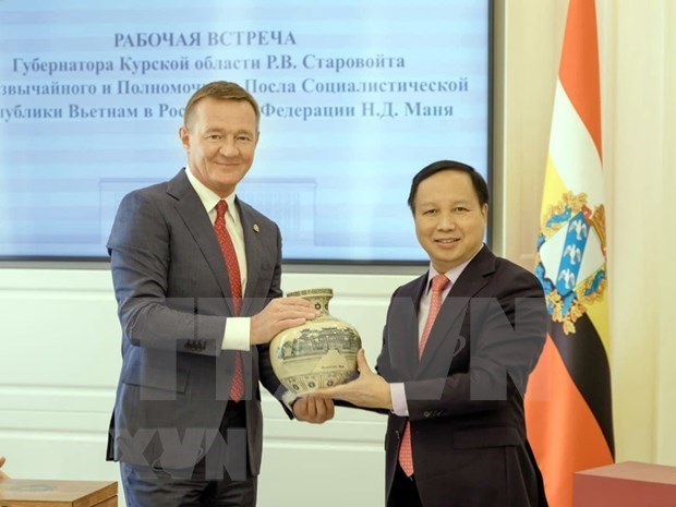 Vietnam-Russie : promotion de la cooperation deconcentree hinh anh 1