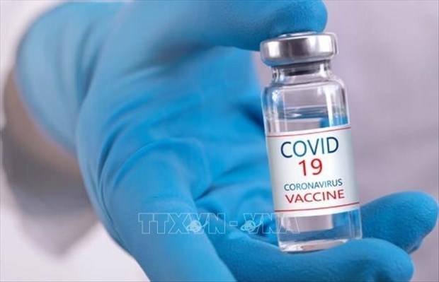 Sans vaccin anti-COVID-19, de nombreux pays passeront a cote de l'economie mondiale hinh anh 1