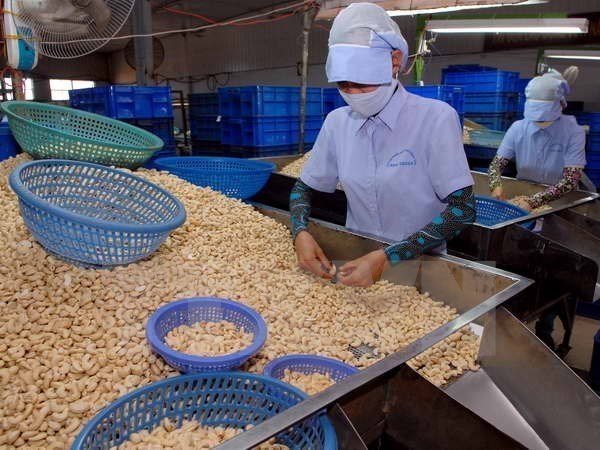 Binh Phuoc a realise une exportation excedentaire de plus de 400 millions d’USD en 6 mois hinh anh 1
