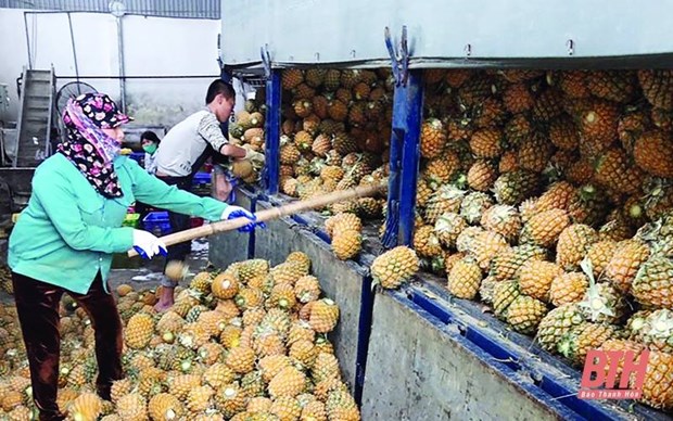 Thanh Hoa incite les entreprises a investir dans la transformation des fruits et legumes hinh anh 1