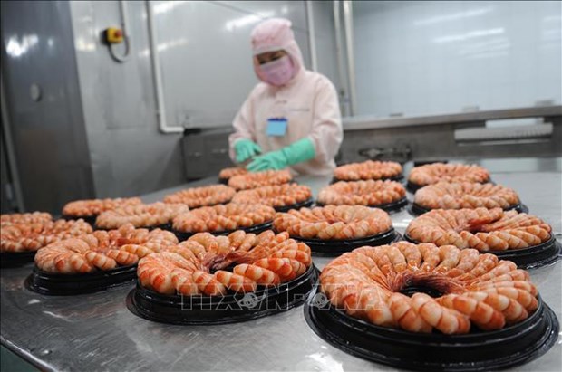 L'industrie de transformation de crevettes s'efforce de maintenir l’objectif des exportations hinh anh 2