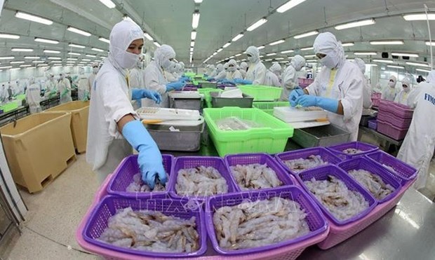 L'industrie de transformation de crevettes s'efforce de maintenir l’objectif des exportations hinh anh 1