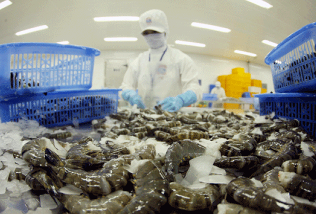 Les exportations de crevettes devraient atteindre 3,9 milliards de dollars en 2021 hinh anh 1