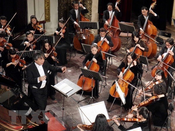 Creation de l'Orchestre symphonique des jeunes du Vietnam hinh anh 1