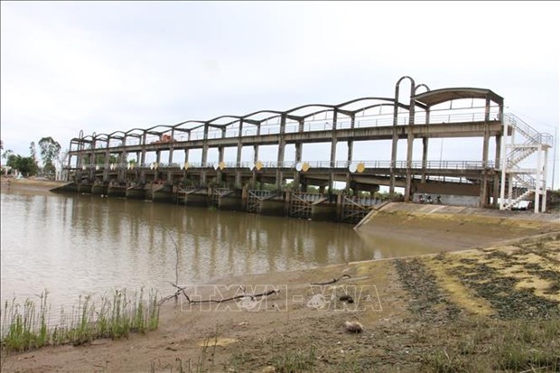L’affaissement et la salinisation dans le delta du Mekong interpellent les experts hinh anh 1