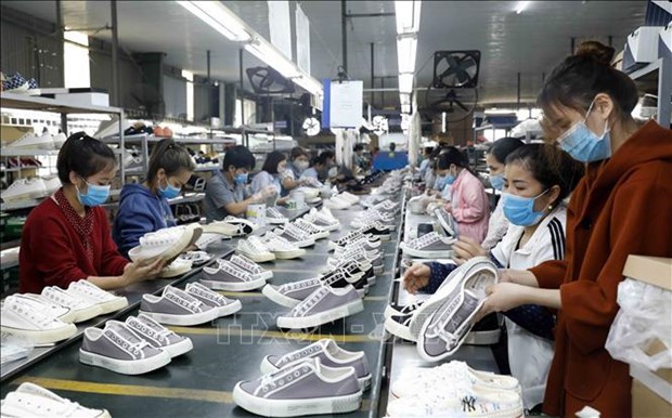Les exportations de cuir et de chaussures prosperes en 2022 hinh anh 1