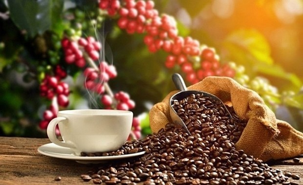 Plus de 80 echantillons de cafe participent au Concours de cafe de specialite du Vietnam 2022 hinh anh 1