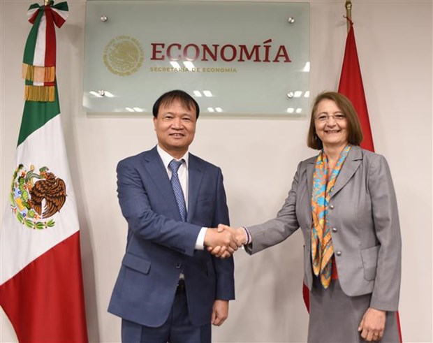 Vietnam et Mexique promeuvent la cooperation economique et d'investissement hinh anh 3