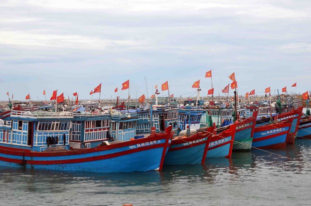 La province de Tra Vinh s’efforce d’empecher les activites de peche illicite hinh anh 1